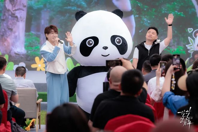 量从综艺招商片单透视平台卡位战麻将胡了IP长期主义、找寻新增(图18)